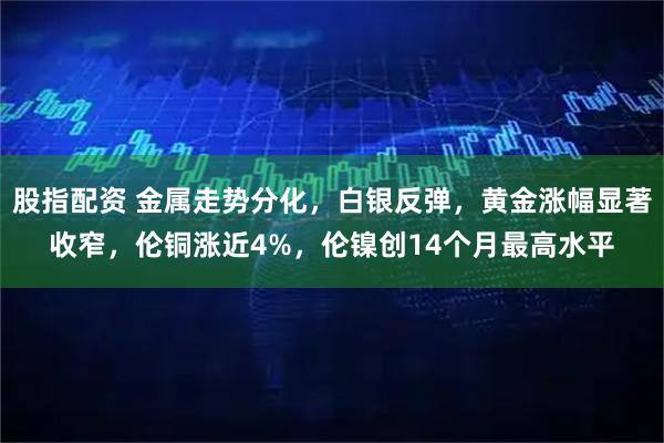 股指配资 金属走势分化，白银反弹，黄金涨幅显著收窄，伦铜涨近4%，伦镍创14个月最高水平