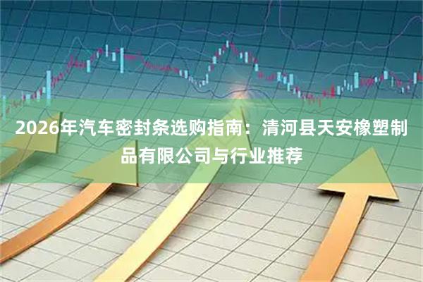 2026年汽车密封条选购指南：清河县天安橡塑制品有限公司与行业推荐