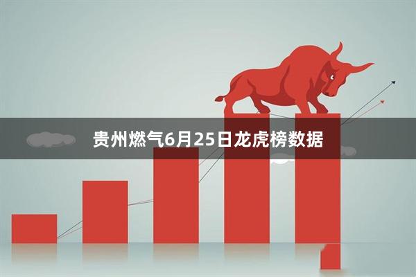 贵州燃气6月25日龙虎榜数据