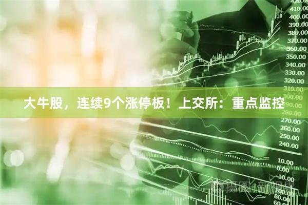 大牛股，连续9个涨停板！上交所：重点监控