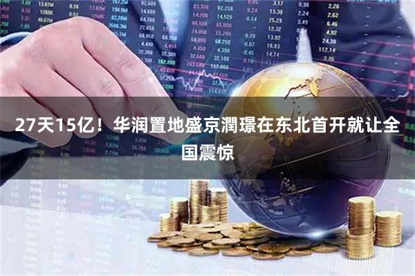 27天15亿！华润置地盛京潤璟在东北首开就让全国震惊